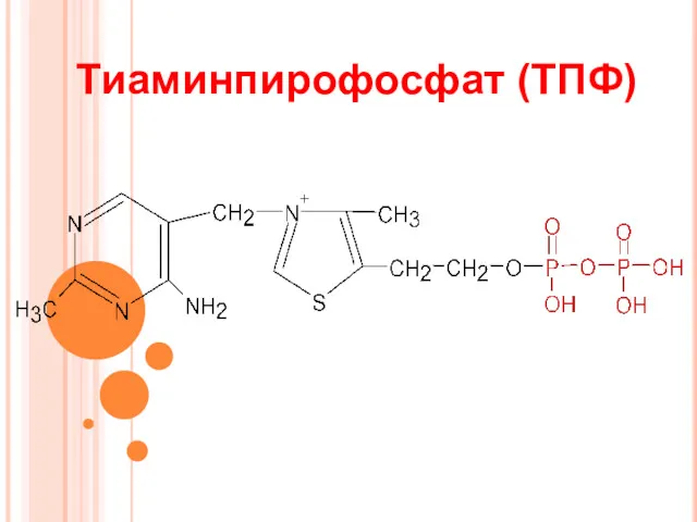 Тиаминпирофосфат (ТПФ)