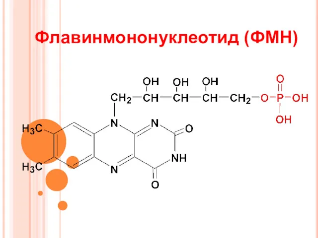 Флавинмононуклеотид (ФМН)
