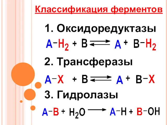 Классификация ферментов 1. Оксидоредуктазы 2. Трансферазы 3. Гидролазы