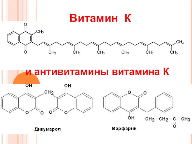 Витамин К и антивитамины витамина К