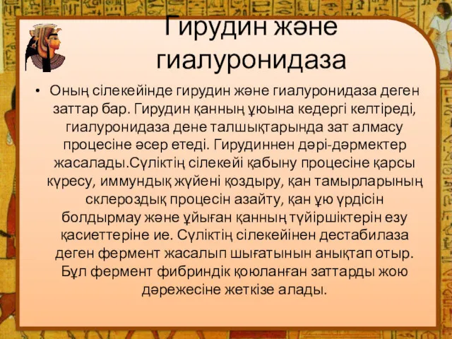 Гирудин және гиалуронидаза Оның сілекейінде гирудин және гиалуронидаза деген заттар