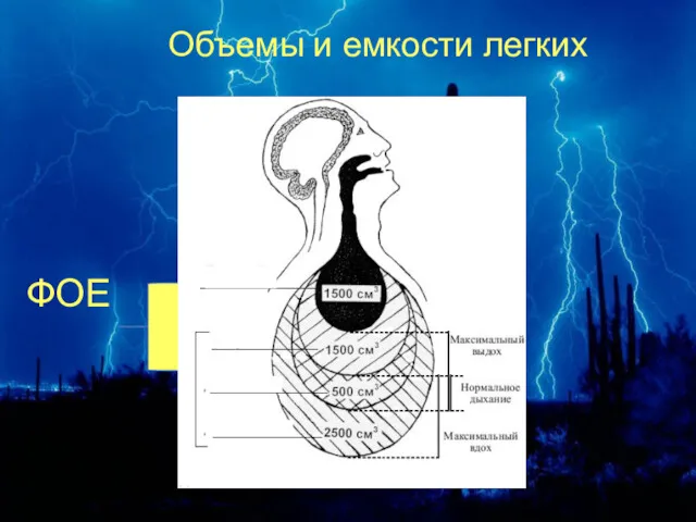 Объемы и емкости легких ФОЕ