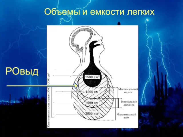 Объемы и емкости легких РОвыд