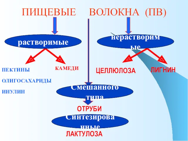 ПИЩЕВЫЕ ВОЛОКНА (ПВ) ПЕКТИНЫ КАМЕДИ ЛАКТУЛОЗА ЛИГНИН ОТРУБИ ОЛИГОСАХАРИДЫ ИНУЛИН ЦЕЛЛЮЛОЗА растворимые нерастворимые Смешанного типа Синтезированные