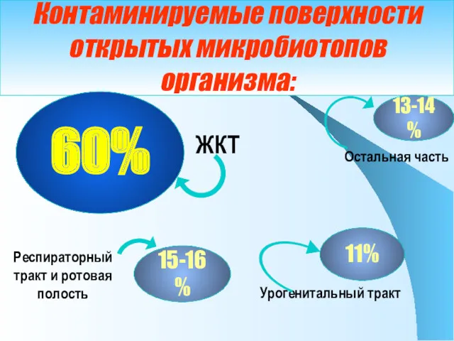 Контаминируемые поверхности открытых микробиотопов организма: 60% 15-16% 11% 13-14% ЖКТ