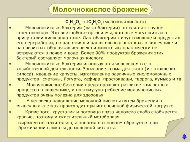 Молочнокислое брожение С6Н12О6 → 2С3Н6О3 (молочная кислота) Молочнокислые бактерии (лактобактерии)