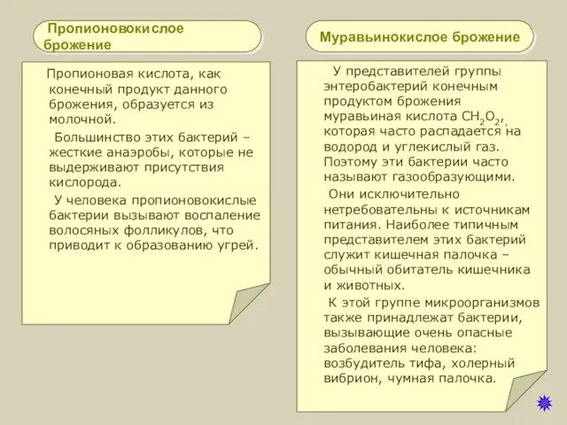 Пропионовокислое брожение Пропионовая кислота, как конечный продукт данного брожения, образуется