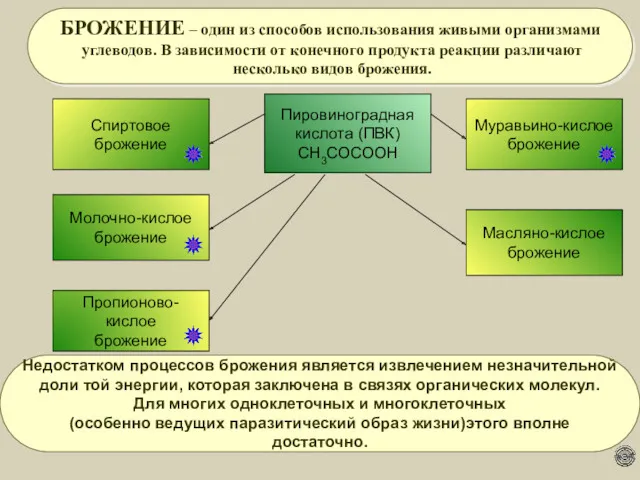 Пировиноградная кислота (ПВК) СН3СОСООН Спиртовое брожение Молочно-кислое брожение БРОЖЕНИЕ –