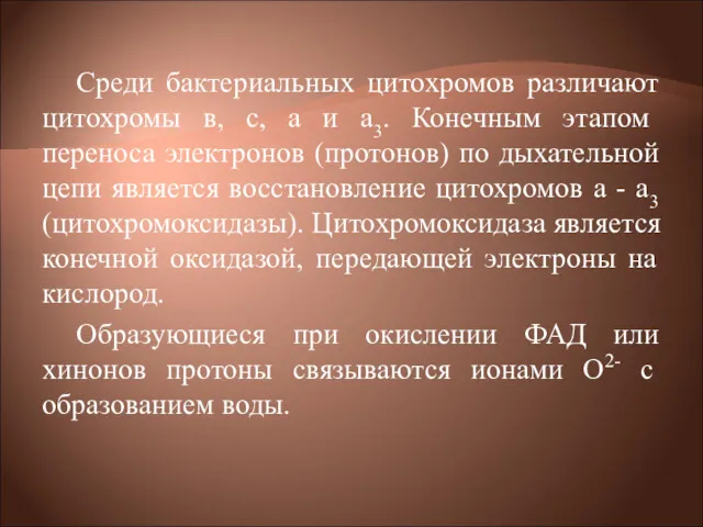 Среди бактериальных цитохромов различают цитохромы в, с, а и а3.