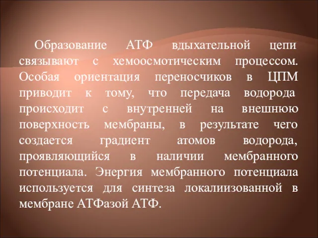 Образование АТФ вдыхательной цепи связывают с хемоосмотическим процессом. Особая ориентация