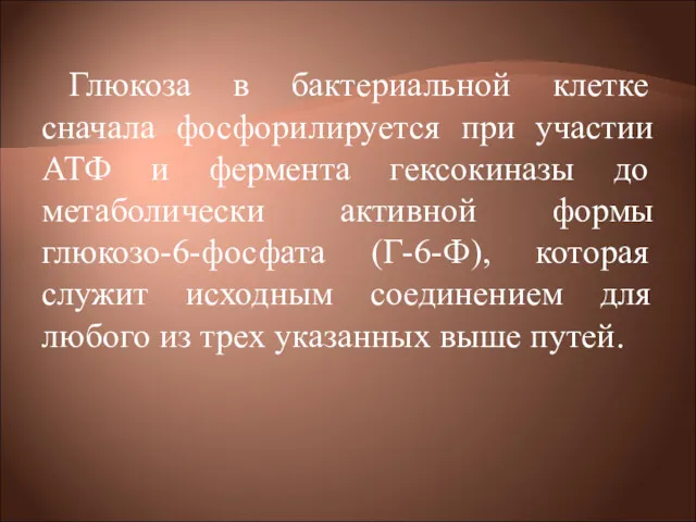 Глюкоза в бактериальной клетке сначала фосфорилируется при участии АТФ и