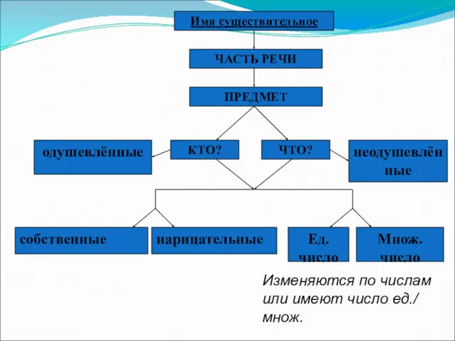 Имя существительное ЧАСТЬ РЕЧИ ПРЕДМЕТ КТО? ЧТО? собственные нарицательные Множ.