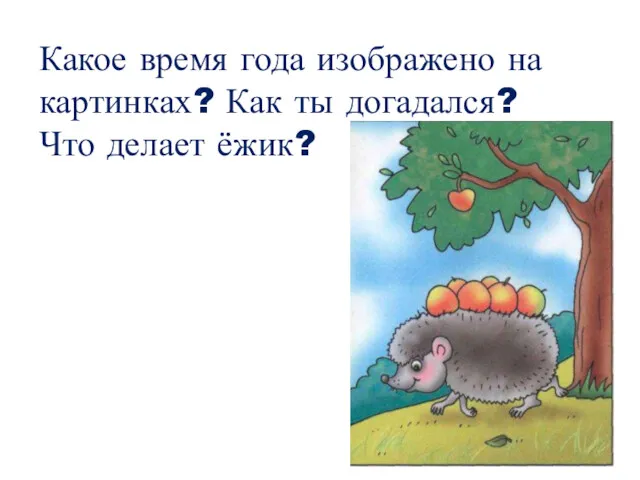 Какое время года изображено на картинках? Как ты догадался? Что делает ёжик?