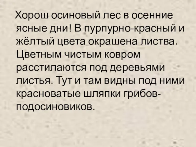 Хорош осиновый лес в осенние ясные дни! В пурпурно-красный и