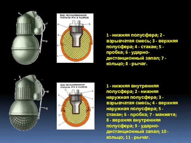 1 - нижняя внутренняя полусфера; 2 - нижняя наружная полусфера;