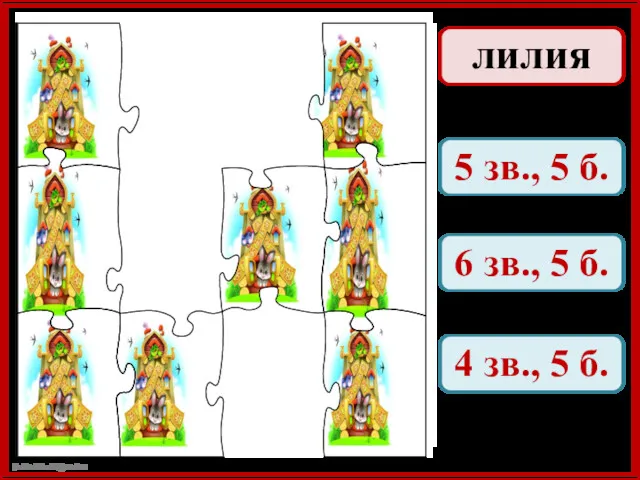 лилия 5 зв., 5 б. 6 зв., 5 б. 4 зв., 5 б.