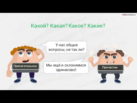 У нас общие вопросы, не так ли? Какой? Какая? Какое? Какие? Мы ещё и склоняемся одинаково!