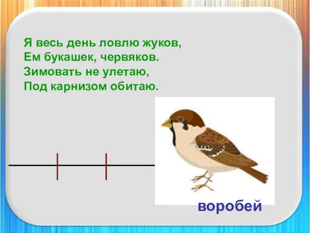 Я весь день ловлю жуков, Ем букашек, червяков. Зимовать не улетаю, Под карнизом обитаю. воробей