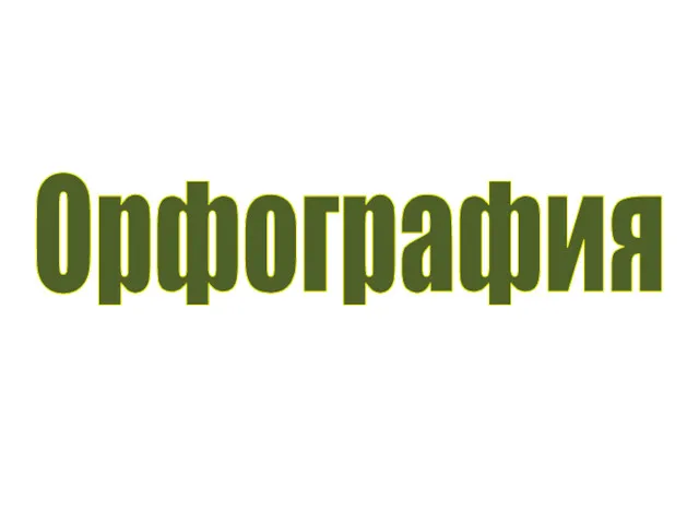 Орфография