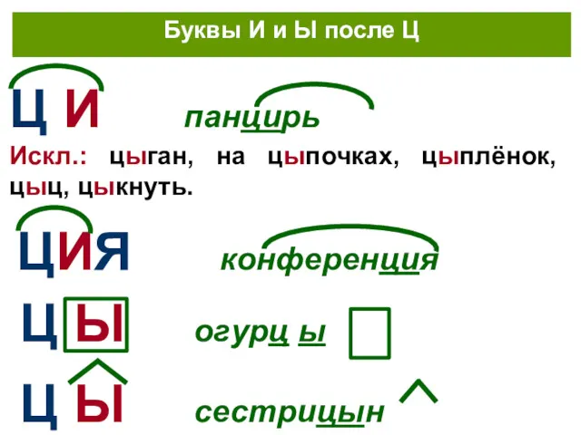 Ц Ы огурц ы Ц И панцирь Буквы И и