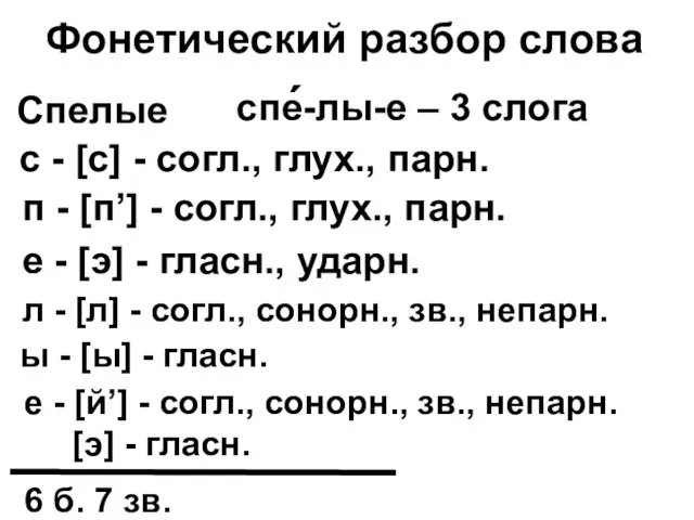 е - [э] - гласн., ударн. Спелые спе-лы-е – 3