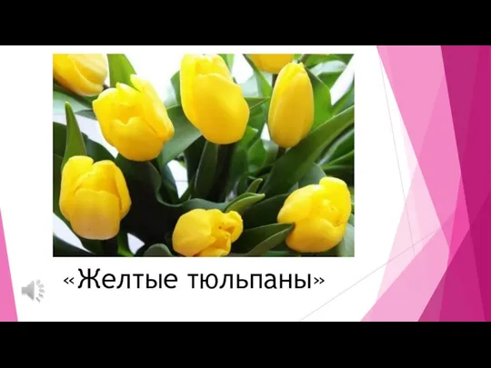 «Желтые тюльпаны»