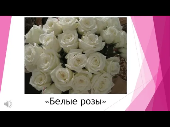 «Белые розы»