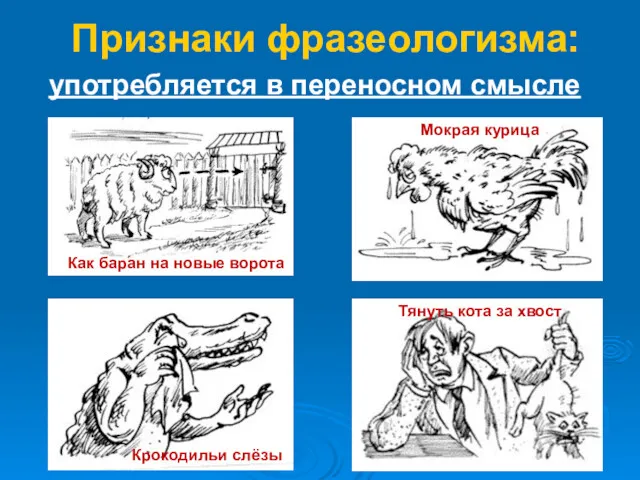 употребляется в переносном смысле Признаки фразеологизма: Как баран на новые