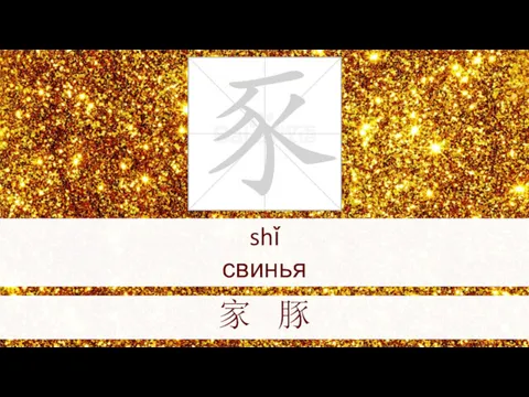 shǐ свинья 家 豚