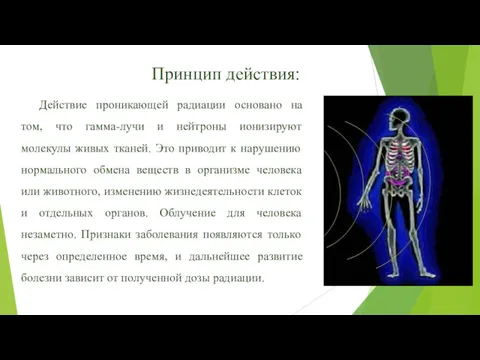 Принцип действия: Действие проникающей радиации основано на том, что гамма-лучи