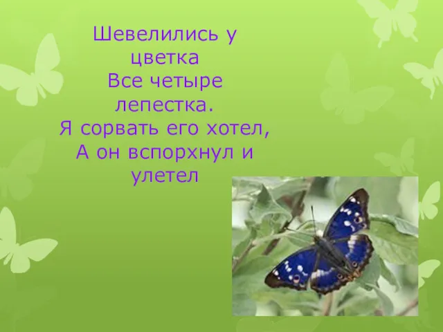 Шевелились у цветка Все четыре лепестка. Я сорвать его хотел, А он вспорхнул и улетел