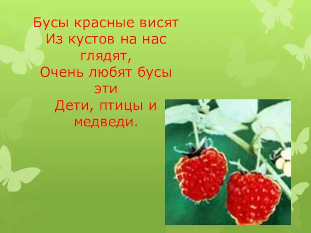 Бусы красные висят Из кустов на нас глядят, Очень любят бусы эти Дети, птицы и медведи.