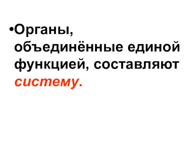 Органы, объединённые единой функцией, составляют систему.