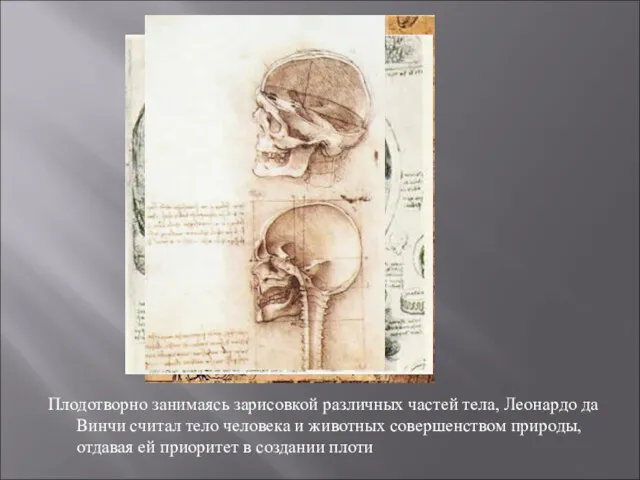 Плодотворно занимаясь зарисовкой различных частей тела, Леонардо да Винчи считал