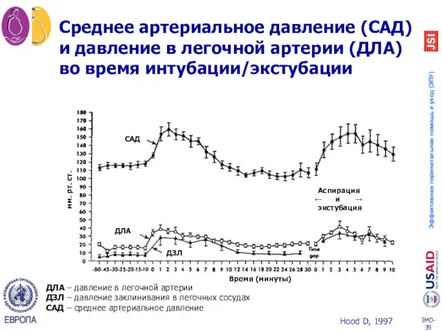 Среднее артериальное давление (САД) и давление в легочной артерии (ДЛА)