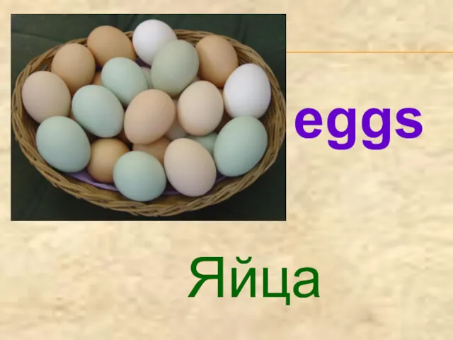 Яйца eggs