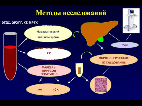 Методы исследований Клинический и биохимический анализы крови МОРФОЛОГИЧЕСКОЕ ИССЛЕДОВАНИЕ ИММУНОЛОГИЧЕСКОЕ