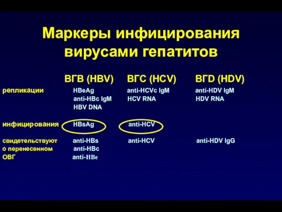 ВГВ (HBV) ВГС (HCV) ВГD (HDV) репликации HBeAg anti-HCVс IgM