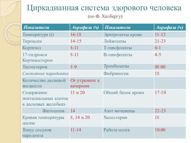 Циркадианная система здорового человека (по Ф. Халбергу)