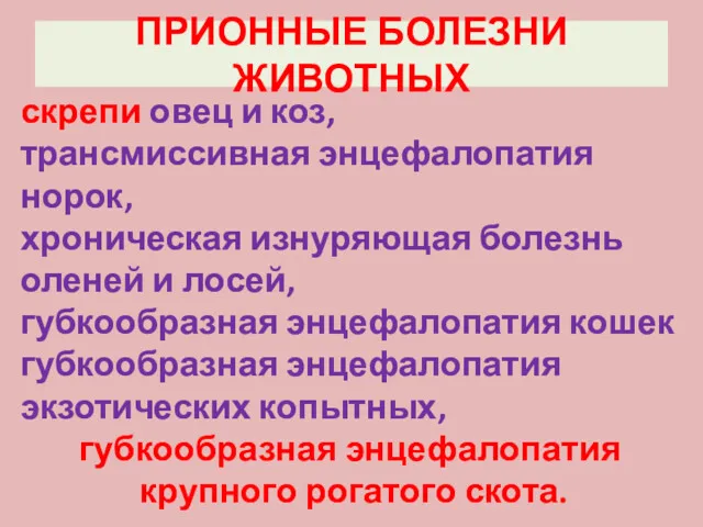 ПРИОННЫЕ БОЛЕЗНИ ЖИВОТНЫХ скрепи овец и коз, трансмиссивная энцефалопатия норок, хроническая изнуряющая болезнь