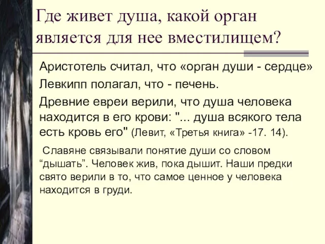 Где живет душа, какой орган является для нее вместилищем? Аристотель