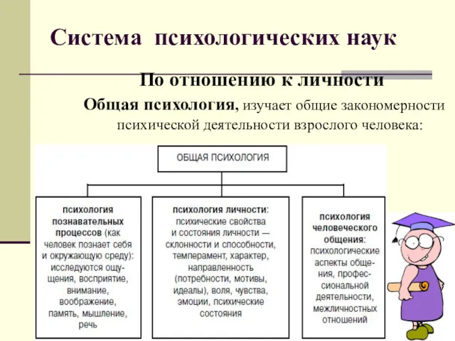 Система психологических наук По отношению к личности Общая психология, изучает общие закономерности психической деятельности взрослого человека: