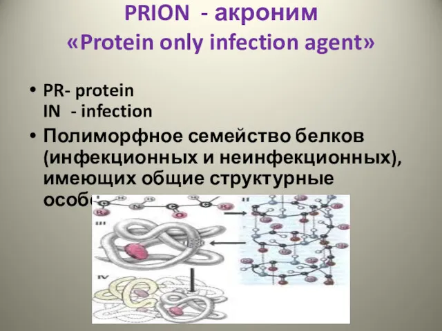 PRION - акроним «Protein only infection agent» PR- protein IN