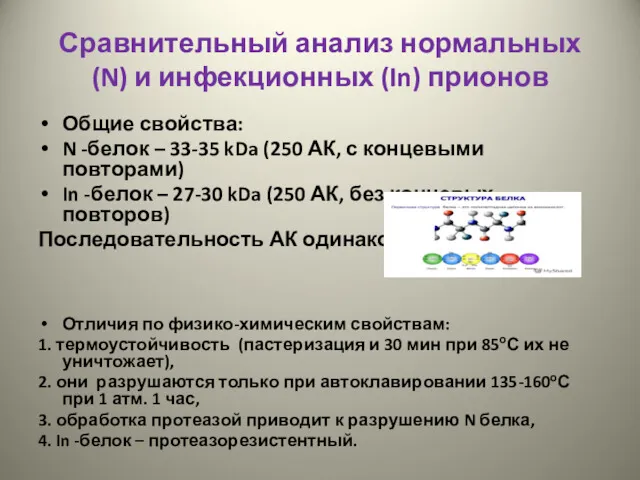 Сравнительный анализ нормальных (N) и инфекционных (In) прионов Общие свойства: