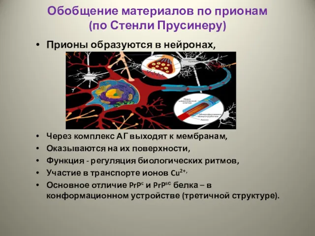 Обобщение материалов по прионам (по Стенли Прусинеру) Прионы образуются в