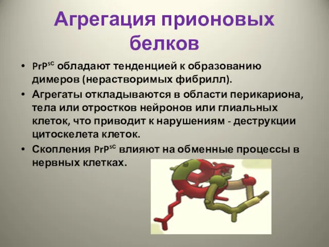 Агрегация прионовых белков PrPsс обладают тенденцией к образованию димеров (нерастворимых