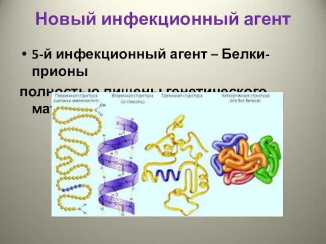 Новый инфекционный агент 5-й инфекционный агент – Белки-прионы полностью лишены генетического материала