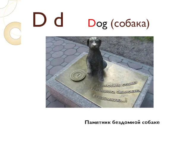 D d Dog (собака) Памятник бездомной собаке