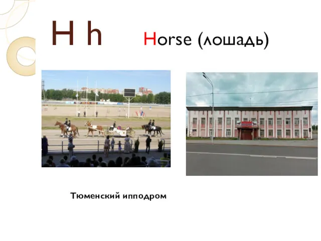 H h Horse (лошадь) Тюменский ипподром