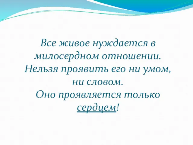 Все живое нуждается в милосердном отношении. Нельзя проявить его ни